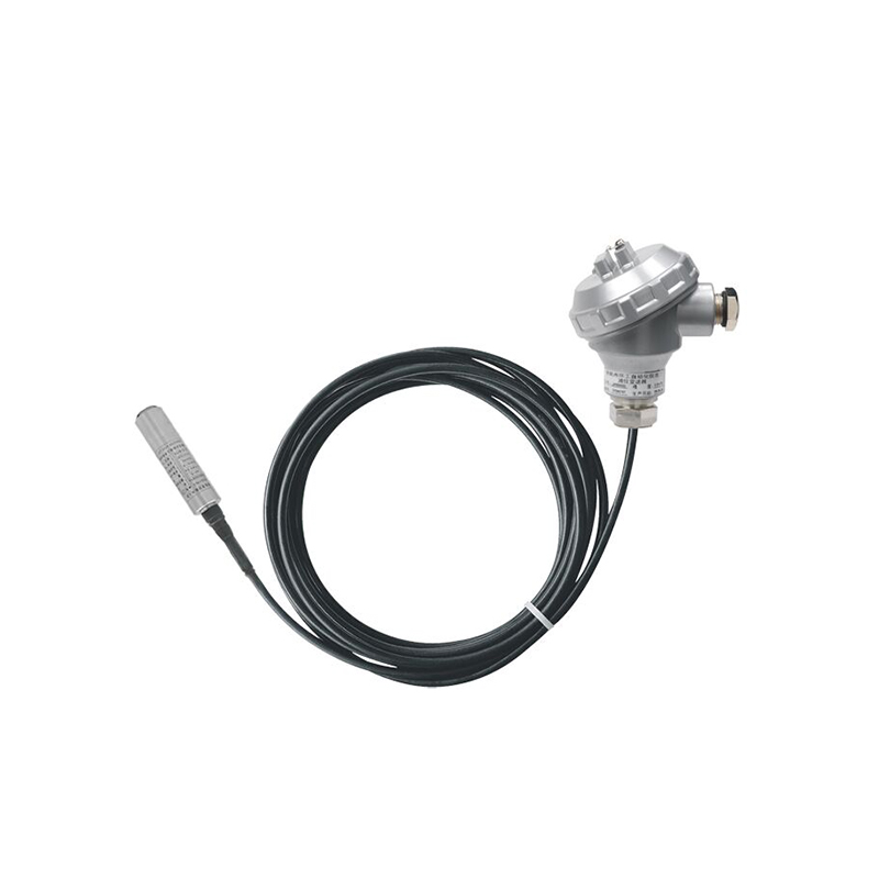 Transmisor de nivel sumergible PB8600